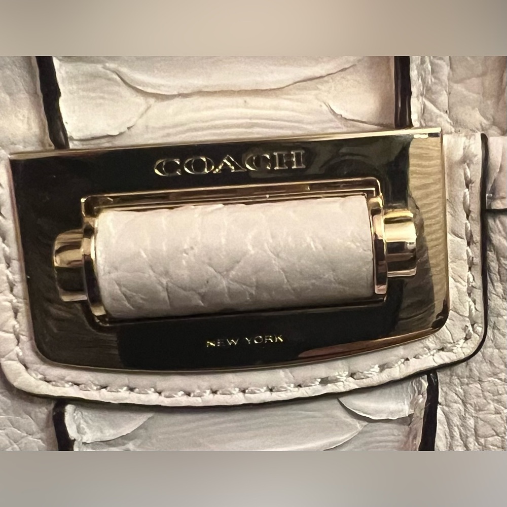 Rare Find- NWT Coach Madison Domed Satchel in Exotic Stripe Leather - Picture 13 of 13